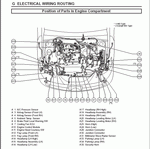 ������� ��� ���������, ������� �������� ��������� � ����� ����.