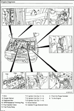 ������� ��� ���������, ������� �������� ��������� � ����� ����.