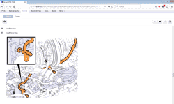 ������� ��� ���������, ������� �������� ��������� � ����� ����.